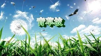 青草国产在线,探寻国产青草在线的魅力与风采